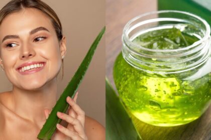 Aloe Vera ke fayde- Live India News