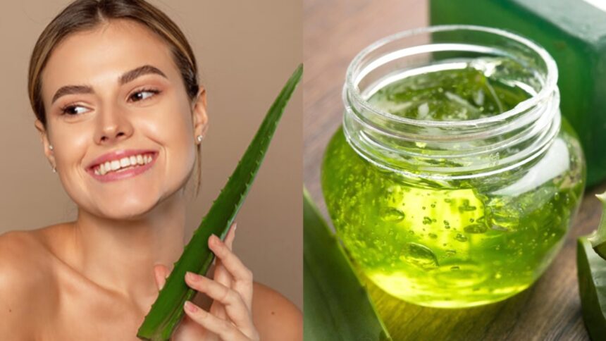 Aloe Vera ke fayde- Live India News