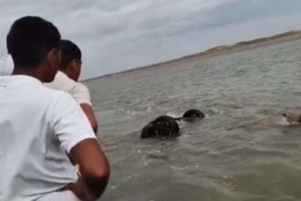 cuttack Bdo- Live India News