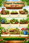Organic Gardening कैसे करें?- Live India News